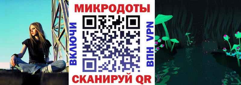 купить наркотики сайты  Светогорск  Галлюциногенные грибы Psilocybine cubensis 