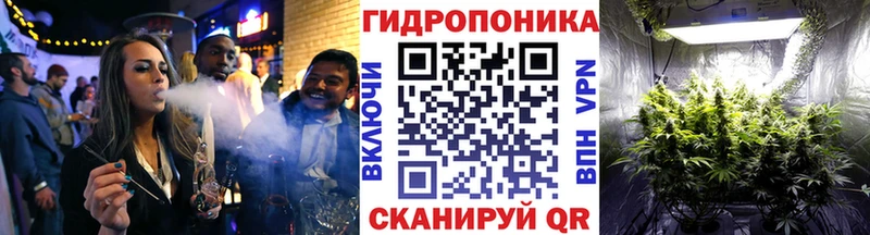 Конопля сатива  нарко площадка наркотические препараты  Светогорск 